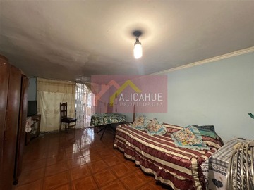Imagen 11