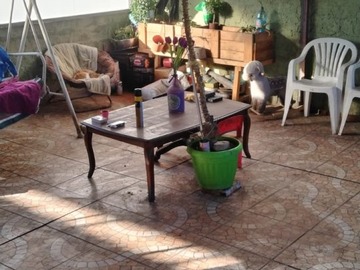 Imagen 6