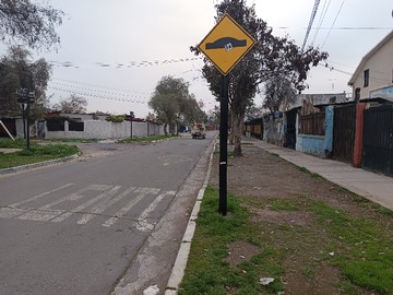 Imagen 15