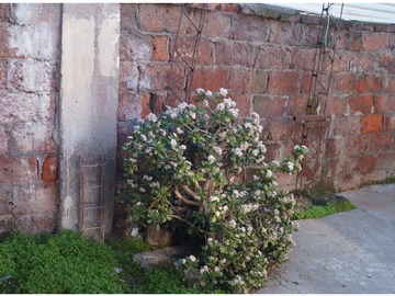 Imagen 29