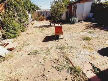 Imagen 21