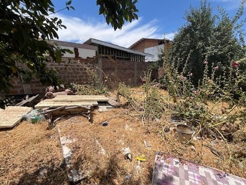 Imagen 7