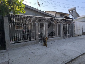 Venta / Casa / La Granja