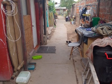 Imagen 4