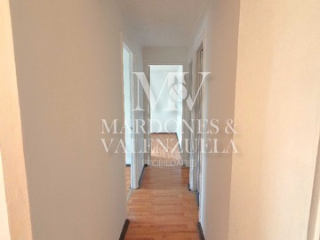Imagen 12