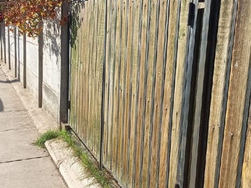 Imagen 13
