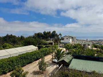 Venta / Casa / La Ligua