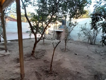 Imagen 14