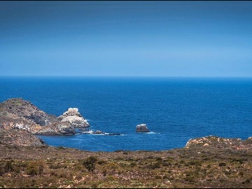 Imagen 11