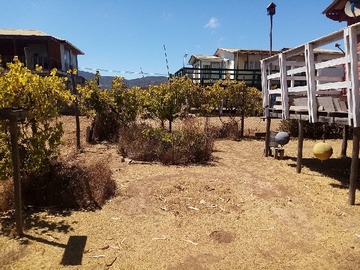Imagen 5