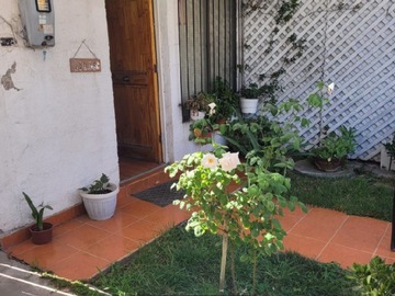 Imagen 6