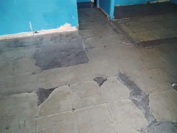 Imagen 9