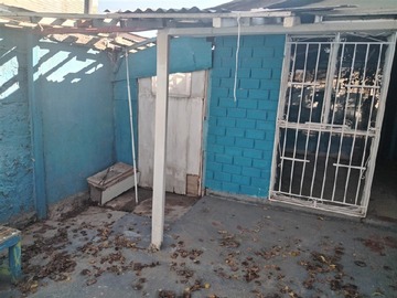Imagen 4