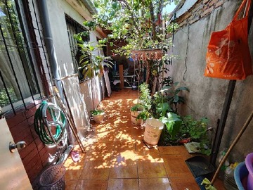 Imagen 11