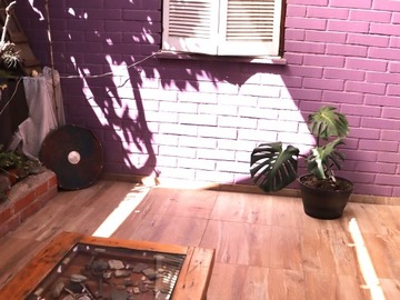 Imagen 23