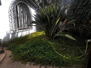 Imagen 12