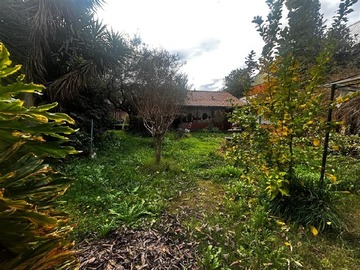 Imagen 6