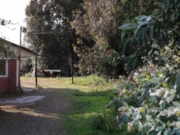 Imagen 12