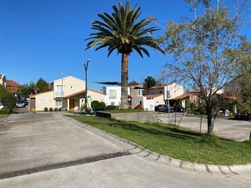 Imagen 29