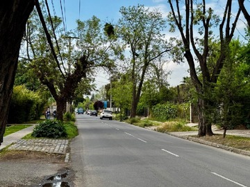 Imagen 19