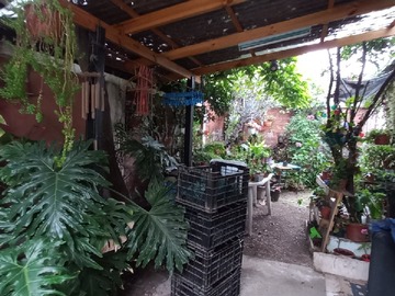 Jardín interior