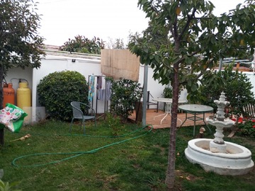Imagen 6
