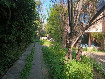 Imagen 18