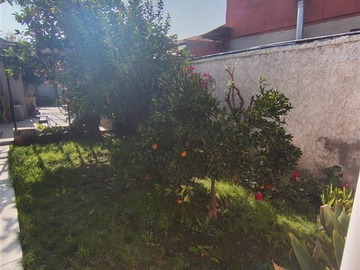 Imagen 33