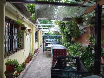 Jardín interior