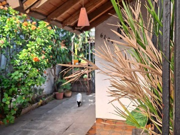 Venta / Casa / La Reina