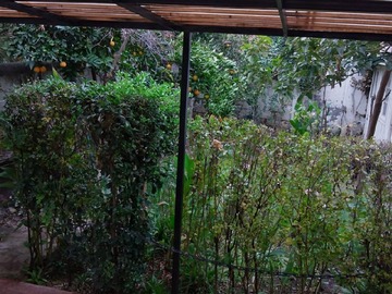 Imagen 27