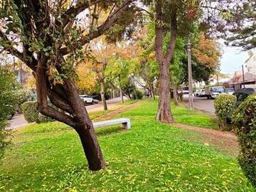 Imagen 11