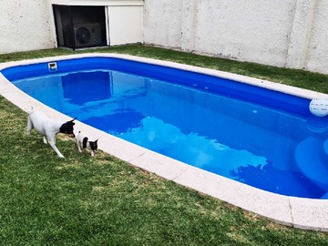 Imagen 15