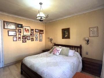 Imagen 19
