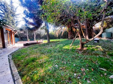 Imagen 26