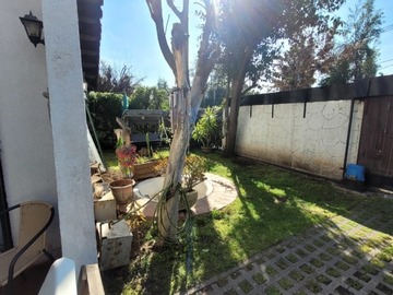 Imagen 8