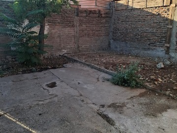 Imagen 11
