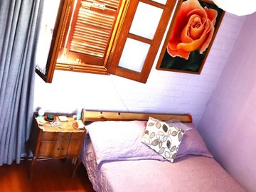 Imagen 13