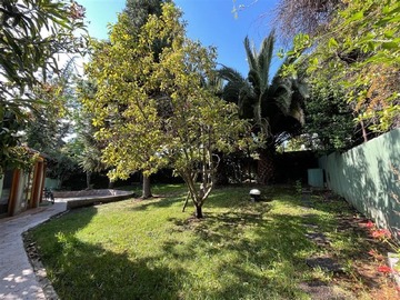 Imagen 24