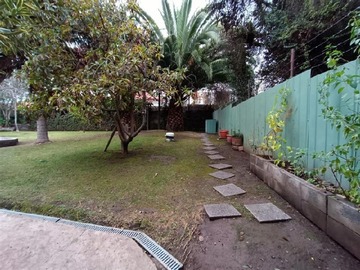 Imagen 28