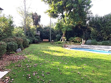 Imagen 29