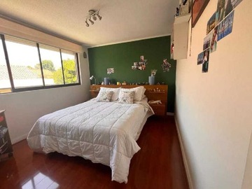 Imagen 13