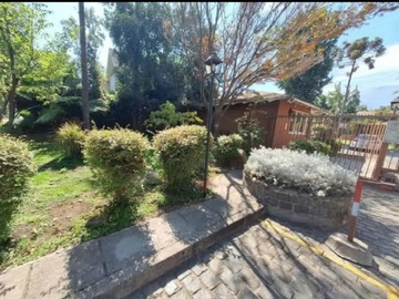 Imagen 13