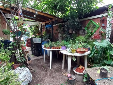 Jardín interior