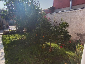 Imagen 34