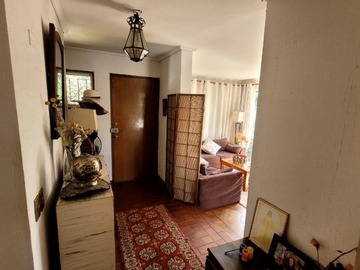 Imagen 5