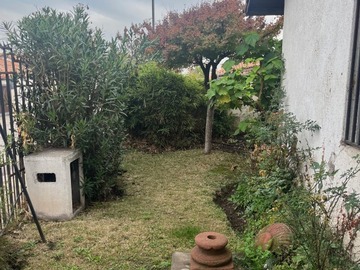 Imagen 9