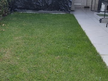 Imagen 20