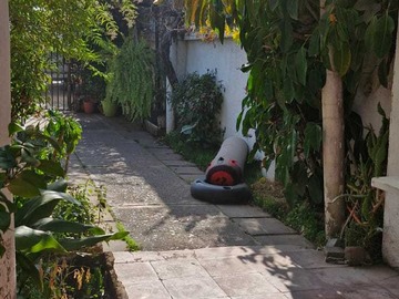 Imagen 12