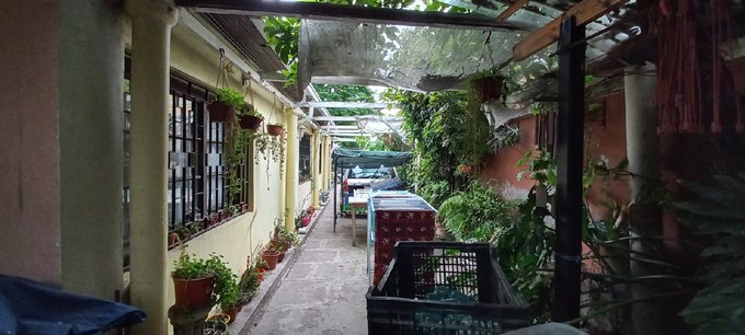 Jardín interior